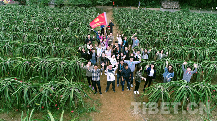 小屯,泉水,村民,错峰,农家乐,换了人间,农家旅馆,乡村游,乡村旅游区,专业合作社