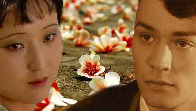 网络小说也太智障了！