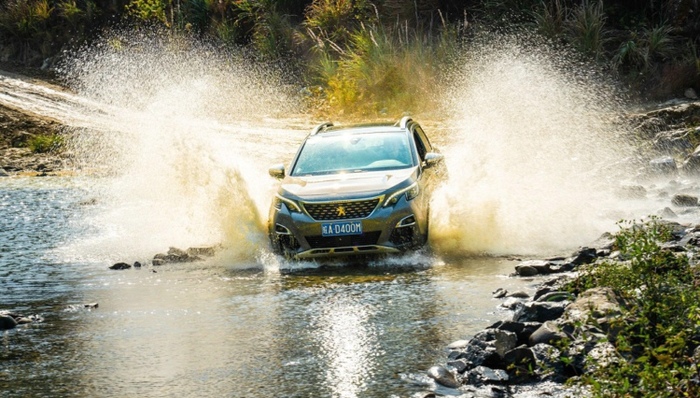 新车速报,车圈观察