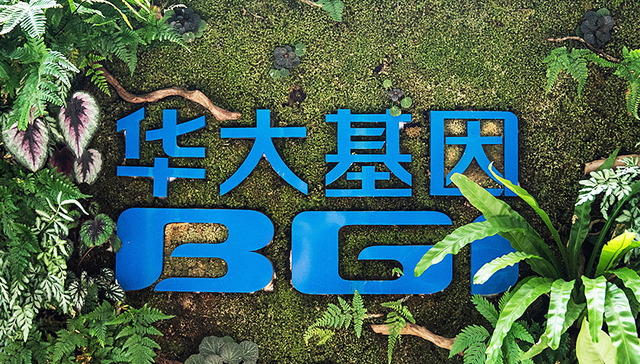 华大,部分基因组,孕妇,基因检测,数据安全性,基因研究,行政处罚决定书,没底线,澄清声明,cell