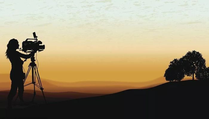 普通老太太,纪录片导演,制片,纪录片创作,投机者,奥妙,二十二,创作者,年度总票房,生存现状