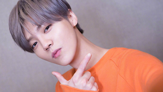 粉丝,反黑,EXO,反黑组,打榜,KPI,流量,路人,底线,维权