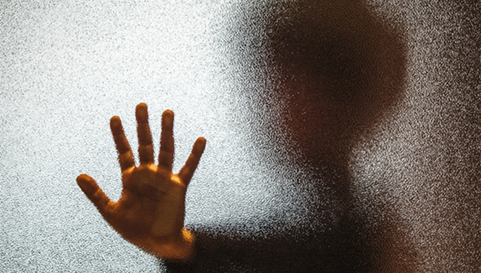 虐童案,继母,植物人,红白事,公租房,大熊猫国家公园管理局,谈春平