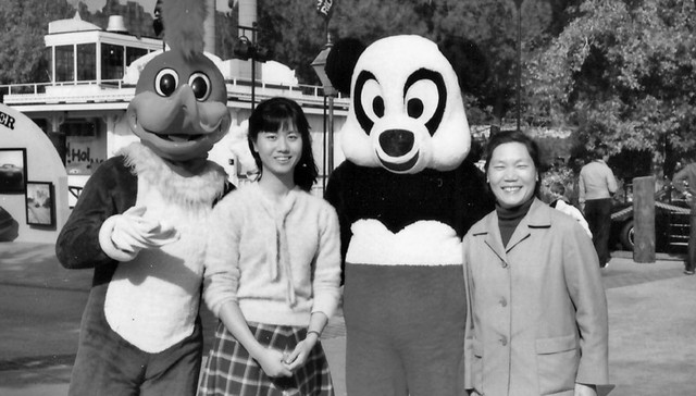 【专访】王安忆：今天聪明的写作者希望讨好 而我们当时只想要颠覆