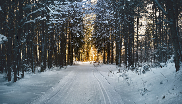 编剧,影视公司,休克,影视产业,乐视,影视制作,影视圈,流氓,片酬,蝴蝶效应