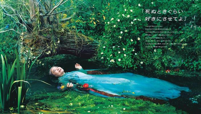 树木,闪婚,临死,是枝裕和,母亲,树木希林,小偷家族,东京塔,比海更深,生之欲