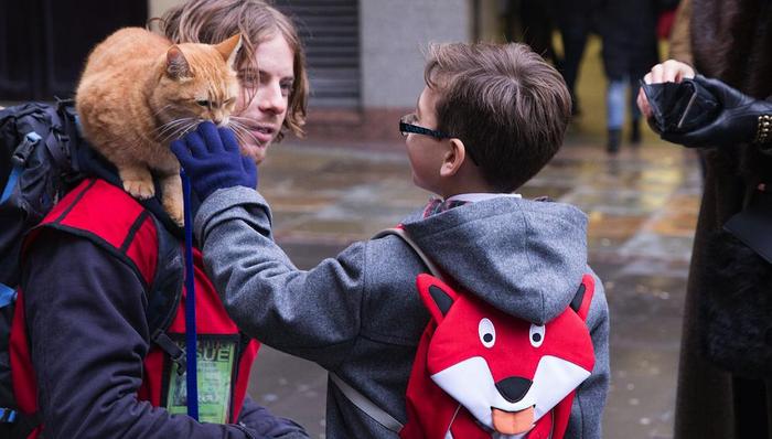 双视角,燃烧,猫砂,猫狗大战,沙巴,废话,主人公,流浪猫鲍勃,片中,民谣歌手