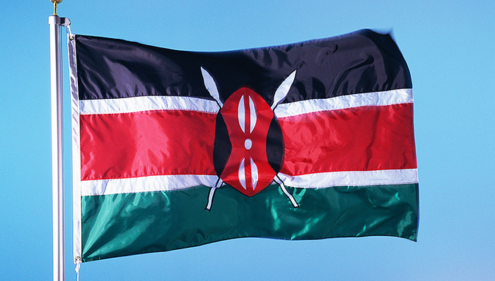 习近平,肯雅塔,总统,中方愿,中非合作论坛,肯尼亚,互鉴,经贸关系,国家主席,王毅