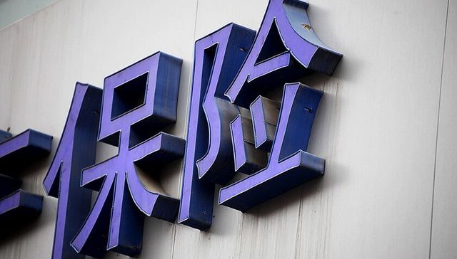 险资，大地保险，财险