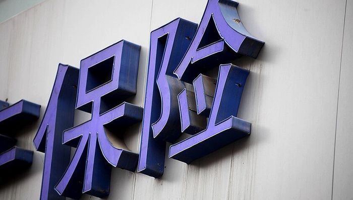 险资，大地保险，财险