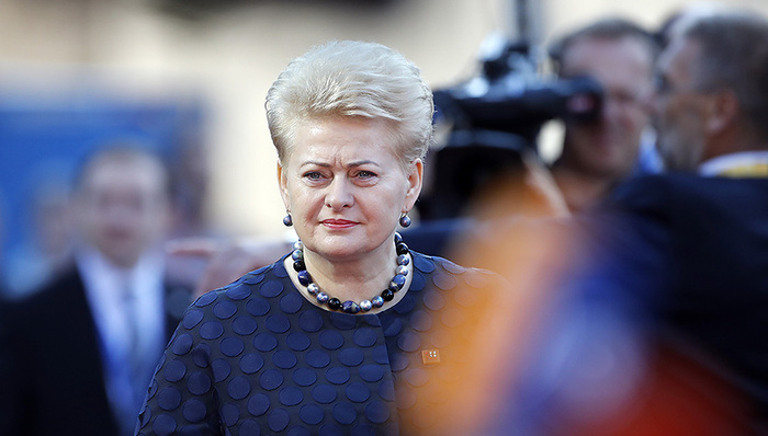 立陶宛总统格里包斯凯特