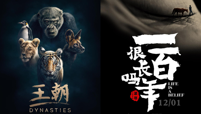影讯 | 腾讯BBC纪录片《王朝》定档1112 萧寒《一百年很长吗》追问人生