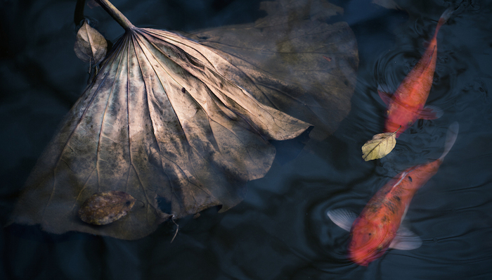 焦虑,风险,社会转型,市场化