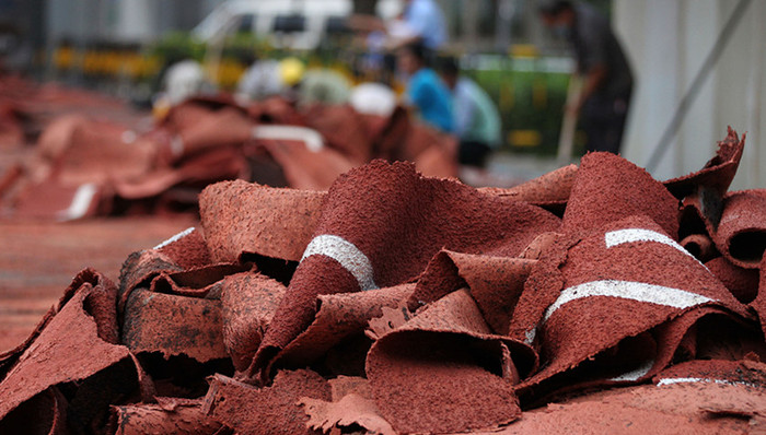 毒跑道,国家标准,教育部