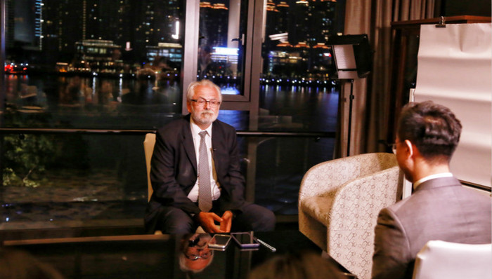 巴西,江豹,出口投资促进局