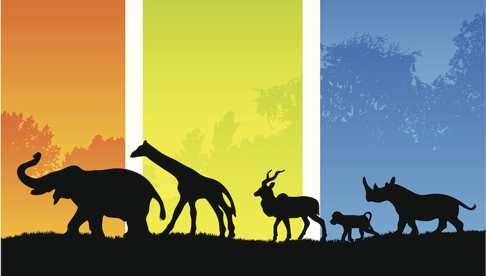 谷歌,亚马逊,阿里巴巴,独角兽,IBM,微软,甲骨文,Salesforce,机器学习,TMT,零售