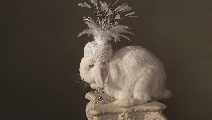 “小白兔”员工被阿里、京东和360深恶痛绝，你中招了吗？