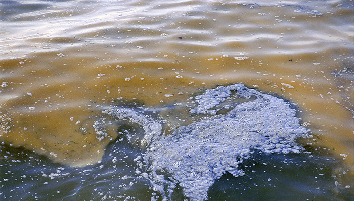 福建泉港,海域,VOCs,养殖水质,催化重整,元凶,碳原子,泄漏,食用,就医