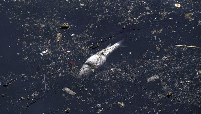 VOCs,大气环境监测,泄漏点,化学品泄漏,应急监测,海上漏油,环境事件,环境空气质量,应急处置,污