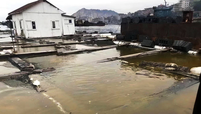 泉港,碳九泄露,环境污染