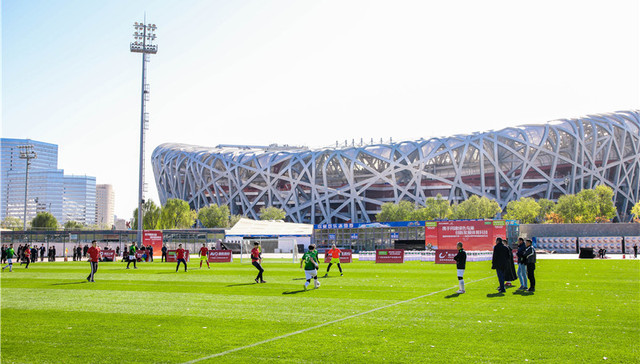 混合草坪技术投入使用 国家体育场附场草皮升级