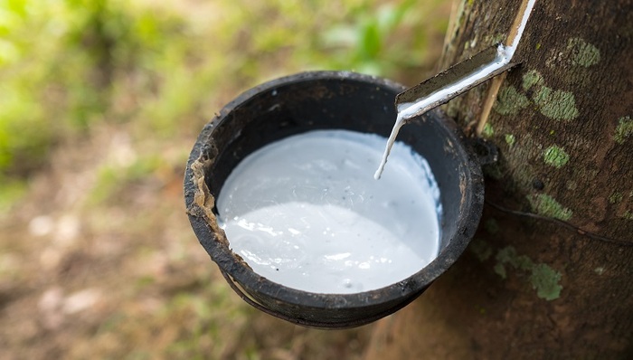 海南橡胶,跌停,大跌