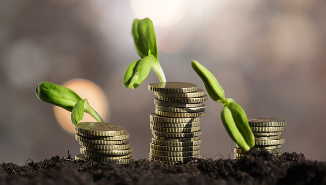 宝宝树,电商,业务毛利率,增持,业务领域,占比,业务收入,原创,招股书,技术原因