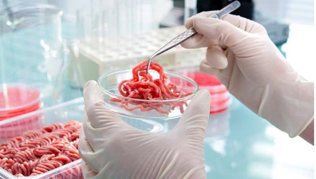 “人造肉”领域将现首家上市公司，盖茨、莱昂纳多等众多大咖押注