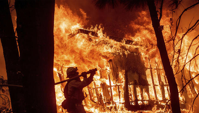 今日美国,森林,加州,政治学