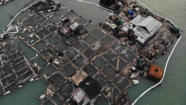 女记者,调查报道,例行查房