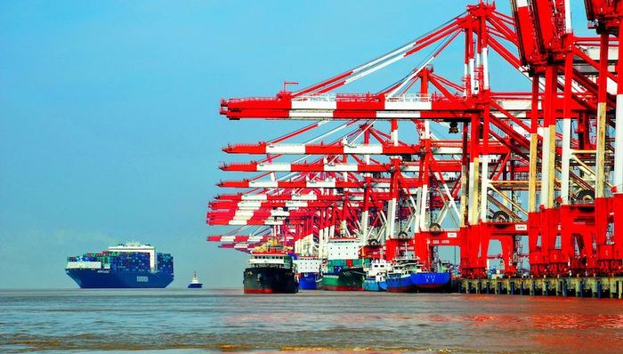 上海,国际贸易,单一窗口,服务,长三角