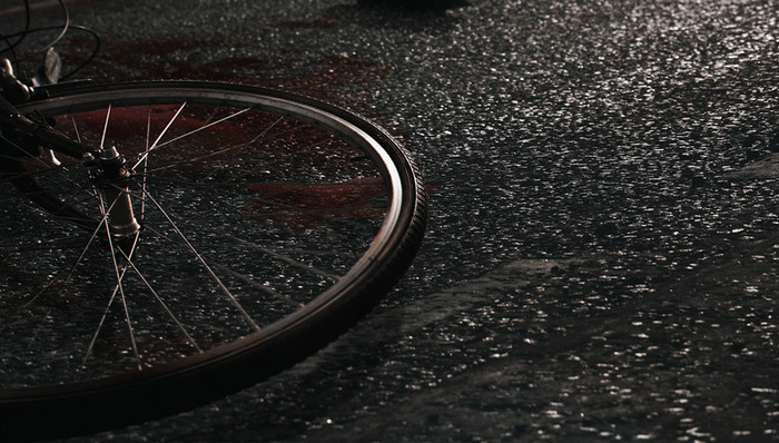 葫芦岛,建昌县第二小学,肇事司机