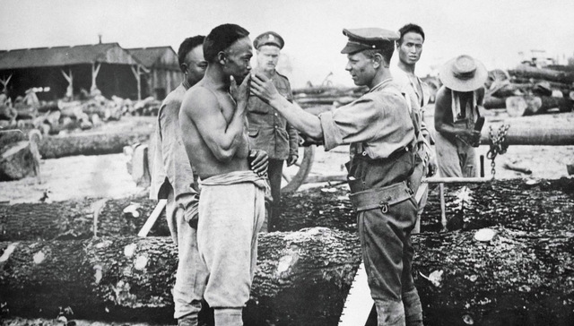 欧罗巴的异乡人：一战西线上的中国劳工