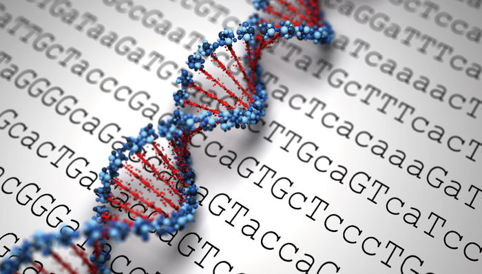 通过“基因编辑婴儿”伦理审查的医院：老板系莆田人，已在香港上市