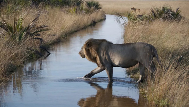 博茨瓦纳 | 落地签开放！野奢终极目的地撩开神秘面纱