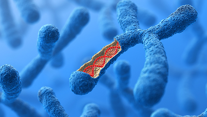 人类胚胎,胚胎细胞,人类基因组,编辑工具,基因疗法,胚胎植入,,,多国,监禁,人体胚胎