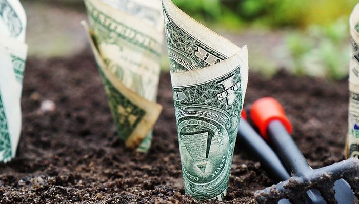 草根投资案进展：金忠栲等22名涉案嫌疑人被依法批捕