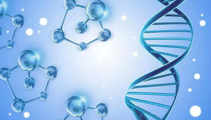 港股,医药,港交所,李小加