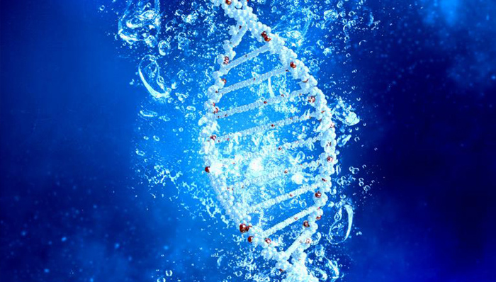 基因编辑婴儿,“莆田系”,和美医疗