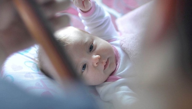 电商,宝宝树,突围,母婴用品,京东,造血,辅食,同质化,天猫,红孩子