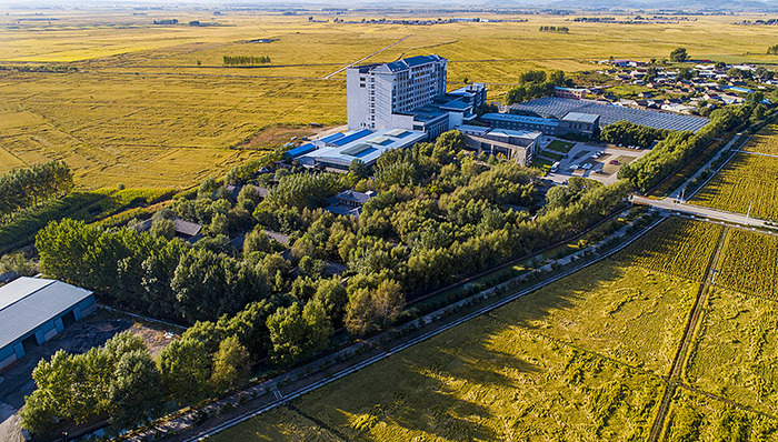 孤店,子镇,城镇化建设,城镇化发展,故事,荒地村,光明日报,稻区,农产品,禾田