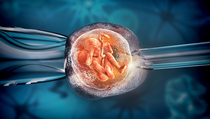 基因编辑婴儿,原油期货