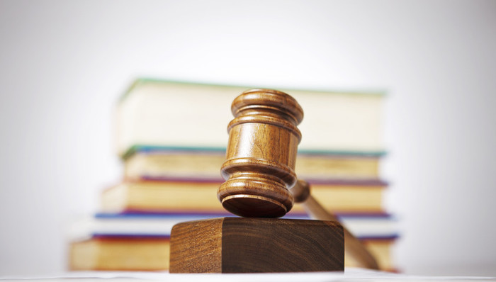 摸狗,无罪辩护,被告律师