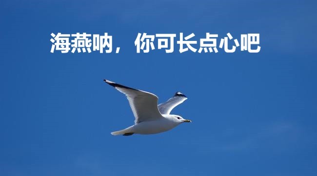 天真的人类学