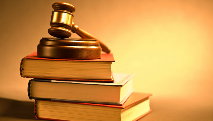 人民网评：以宪法为根本活动准则