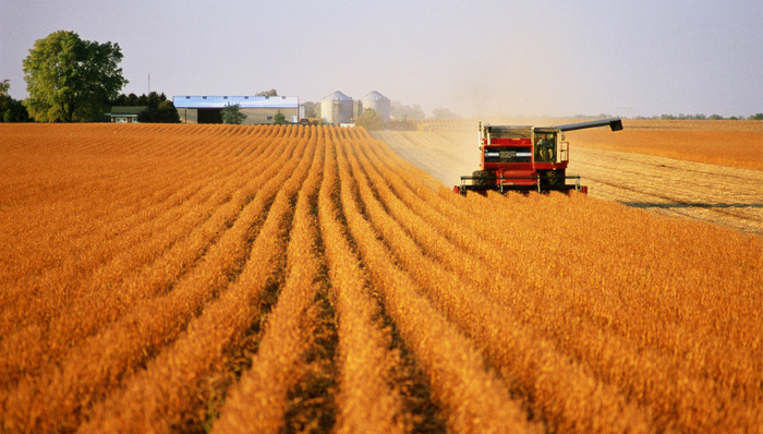 稻花香里说丰年——浙江乡村振兴高起点上谋新篇