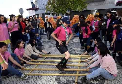 里斯本大学,文化交流,文化参赞,文化影响力,葡萄牙,杨门女将,湄公河行动,狼图腾,我们诞生在中国,百