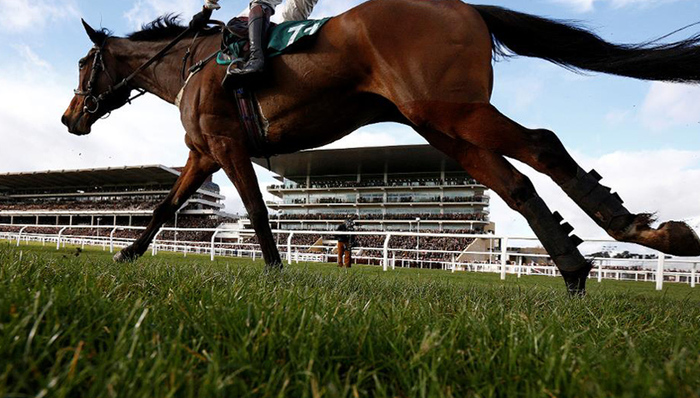 海南岛,赛马,罗牛山