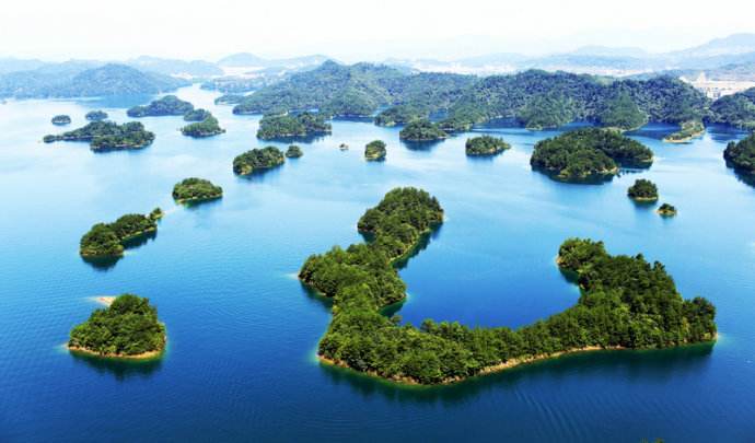 商量岗,中林,乘数效应,三链融合,乡村游,砍树,保姆式,板块,林木业,生态优先