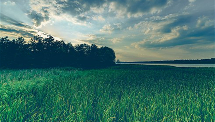 机构行情,市场热点